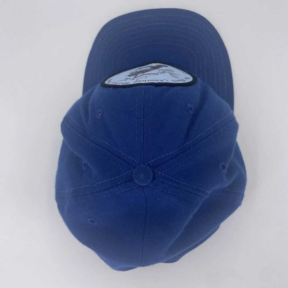 Vintage Trucker Hat Blue Snapback American Bluebird Society New Era DuPont Visor